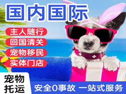 赣州黄金机场货运国际宠物托运 【国
